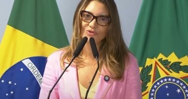 O perfil de fofocas que lavava reputação do governo antes de lavar dinheiro