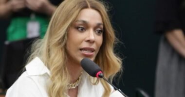 Socorro Neri ameaça usar Lei Maria da Penha contra Erika Hilton em confusão na Câmara