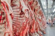 Brasil é retirado da lista europeia de exportadores de carne por questões sanitárias