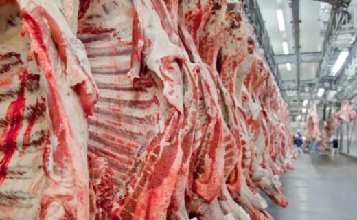 Brasil é retirado da lista europeia de exportadores de carne por questões sanitárias