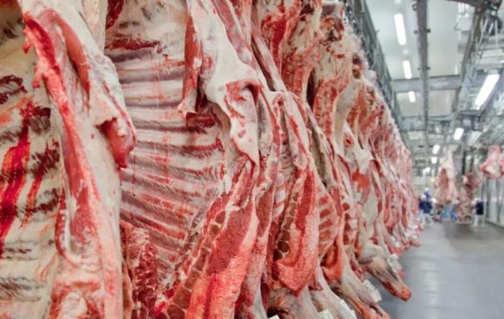 Brasil é retirado da lista europeia de exportadores de carne por questões sanitárias